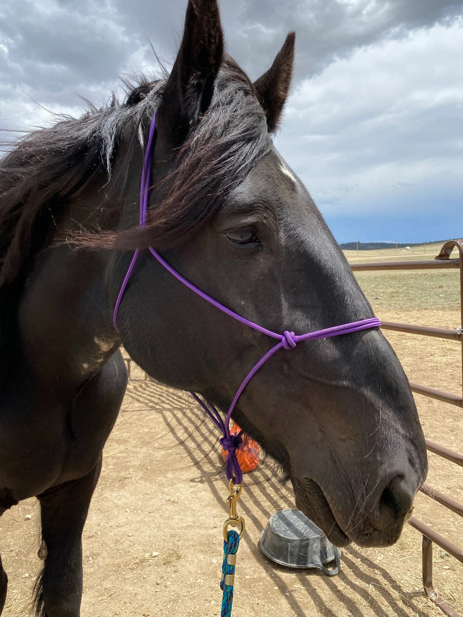 Soft Rope Halter – Counter Canter Designs