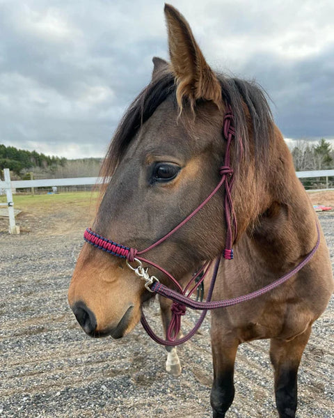 Yacht Rope Finesse Loop Reins