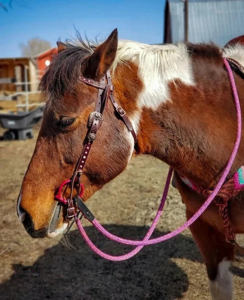 Yacht Rope Clinician Loop Reins