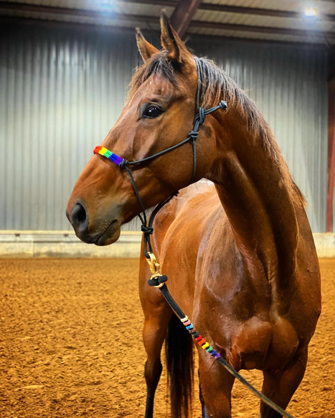 Pride Flag Lead Rope