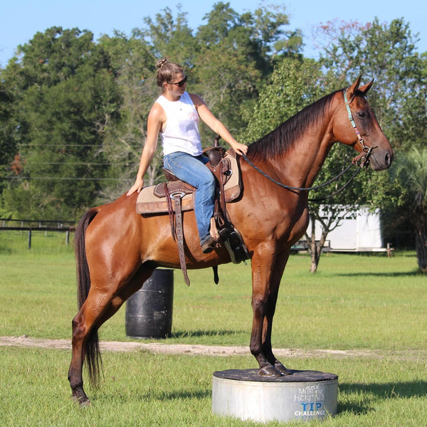 Yacht Rope Clinician Loop Reins