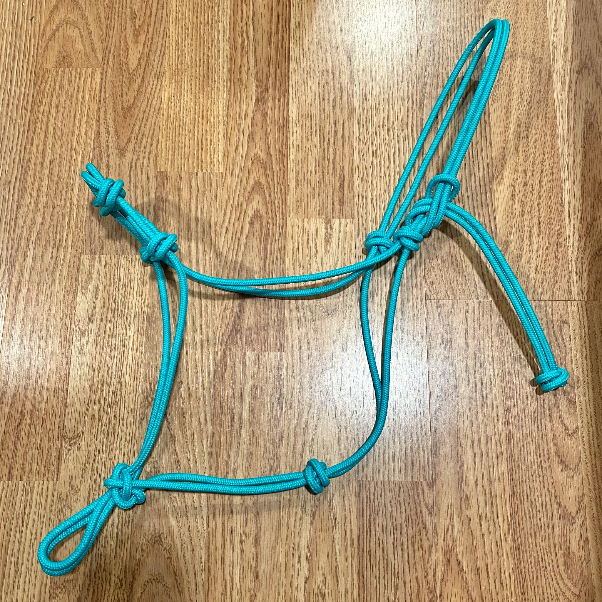 Turquoise 4-Knot Rope Halter - Horse Size